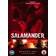 Salamander: The Complete Season One [DVD] [2012]